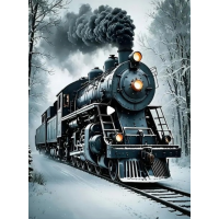 NORIMPEX Diamantové maľovanie Zimný expres 30x40cm