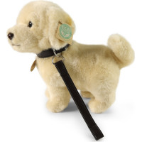 Rappa Plyšový pes zlatý retriever stojaci s vodítkom 25 cm ECO-FRIENDLY
