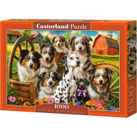 CASTORLAND Puzzle Šťastné psy na vidieku 1000 dielikov