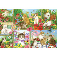 BLUEBIRD Puzzle Mačky a mačiatka 1000 dielikov