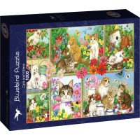 BLUEBIRD Puzzle Mačky a mačiatka 1000 dielikov