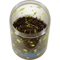 Dinosaurie terárium s nočným LED osvetlením