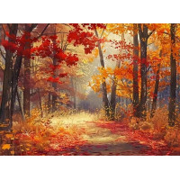 NORIMPEX Diamantové maľovanie Les vo farbách jesene 30x40cm