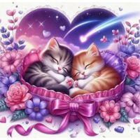 NORIMPEX Diamantové maľovanie Spiace mačiatka 30x40cm