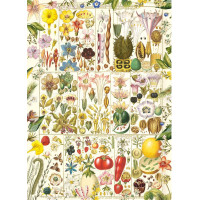 GIBSONS Puzzle Botanická blaženosť 1000 dielikov