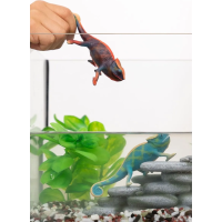 SCHLEICH Wild Life® 14858 Chameleon meniaci farbu