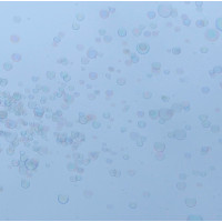 Výroba bublín - Princeznovský prútik