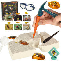 Archeologická sada - Jantárové fosílie hmyzu