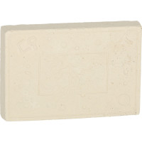 Archeologická sada - Jantárové fosílie hmyzu