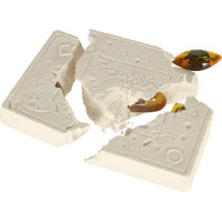 Archeologická sada - Jantárové fosílie hmyzu