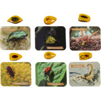 Archeologická sada - Jantárové fosílie hmyzu