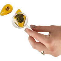 Archeologická sada - Jantárové fosílie hmyzu