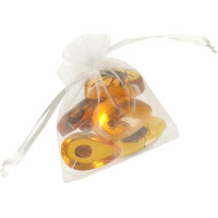 Archeologická sada - Jantárové fosílie hmyzu