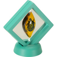 Archeologická sada - Jantárové fosílie hmyzu