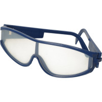 Archeologická sada - Jantárové fosílie hmyzu