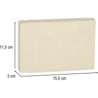 Archeologická sada - Jantárové fosílie hmyzu