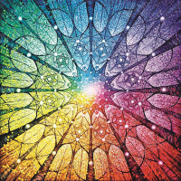 MAGNOLIA Puzzle Mandala života 1023 dielikov