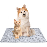 Deka pre psov DOGGY Dream 50x70 cm + vankúšik 20x30 cm