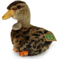 Rappa Plyšová kačica divá 19 cm ECO-FRIENDLY