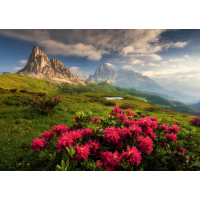 DINO Puzzle Talianskej Dolomity 2000 dielikov