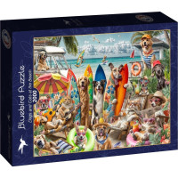 BLUEBIRD Puzzle Psy a mačky na pláži 2000 dielikov