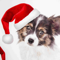 Posteľné obliečky z mikrovlákna HAPPY CHRISTMAS - 160x200 cm - biele