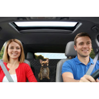 Podložka do auta pre psov GOLDEN