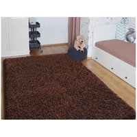 Moderný kusový koberec SHAGGY COLOR - hnedý