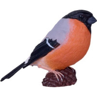 Mojo Hýľ obyčajný v krabičke