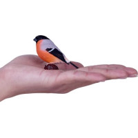 Mojo Hýľ obyčajný v krabičke