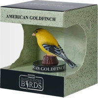 Mojo Stehlík americký v krabičke