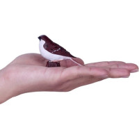 Mojo Vrabec domáci v krabičke