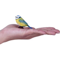 Mojo Sýkora modrinka v krabičke