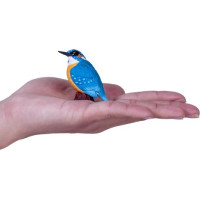 Mojo Včelojedi riečne v krabičke