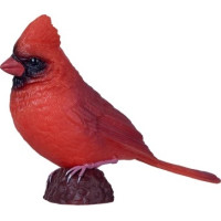 Mojo Kardinál červený v krabičke