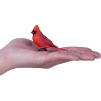 Mojo Kardinál červený v krabičke