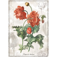 INTERDRUK Puzzle Botanic: Vlčí mak 1000 dielikov