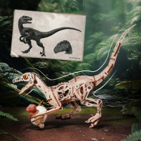 RoboTime 3D drevená mechanická skladačka Velociraptor