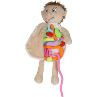 Bábika na učenie anatómie - chlapec