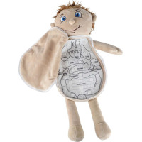 Bábika na učenie anatómie - chlapec