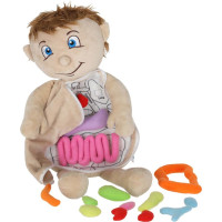 Bábika na učenie anatómie - chlapec