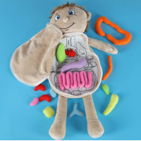 Bábika na učenie anatómie - chlapec