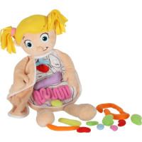 Bábika na učenie anatómie - dievča