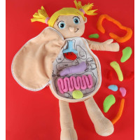 Bábika na učenie anatómie - dievča