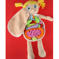 Bábika na učenie anatómie - dievča