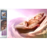 NORIMPEX Diamantové maľovanie Dieťa na dlani 30x40 cm
