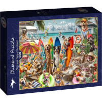 BLUEBIRD Puzzle Psy a mačky na pláži 1000 dielikov