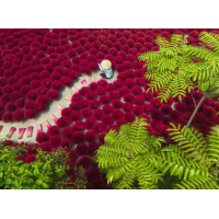 RAVENSBURGER Puzzle Červené more 500 dielikov