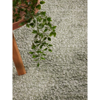 Kusový koberec Ted Baker Notting Hill 106347 Light Green