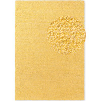 Kusový koberec Ted Baker Notting Hill 106348 Yellow